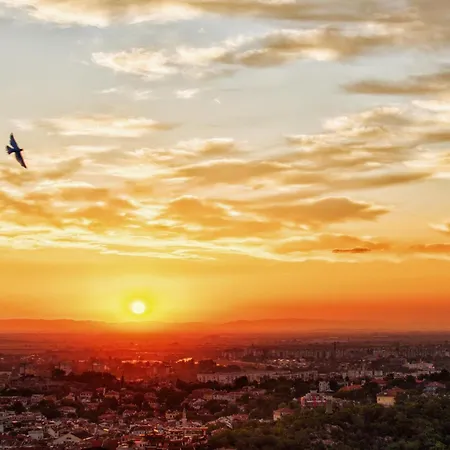 パークホテル プロブディフ ホテル